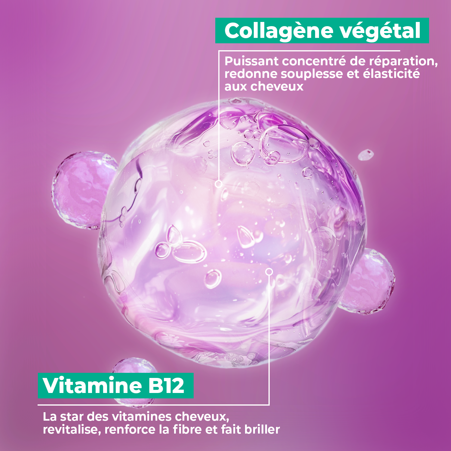 molécule et actifs star du Sérum SOS repair collagène