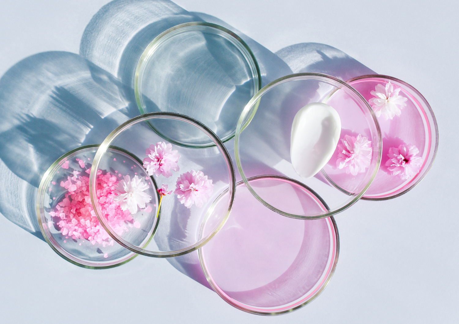 coupelles clean beauty ingredient