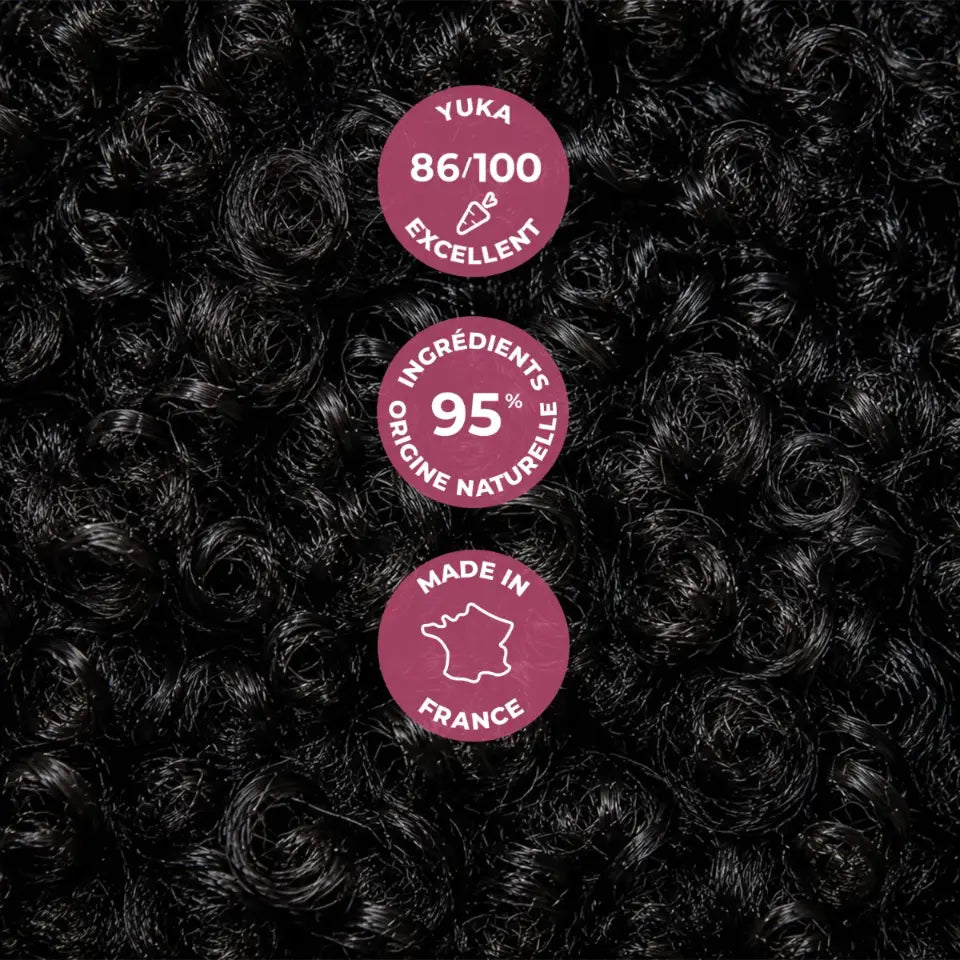 CURL COCOA INTENSE NOURISHMENT SHAMPOO - SULFATE FREE