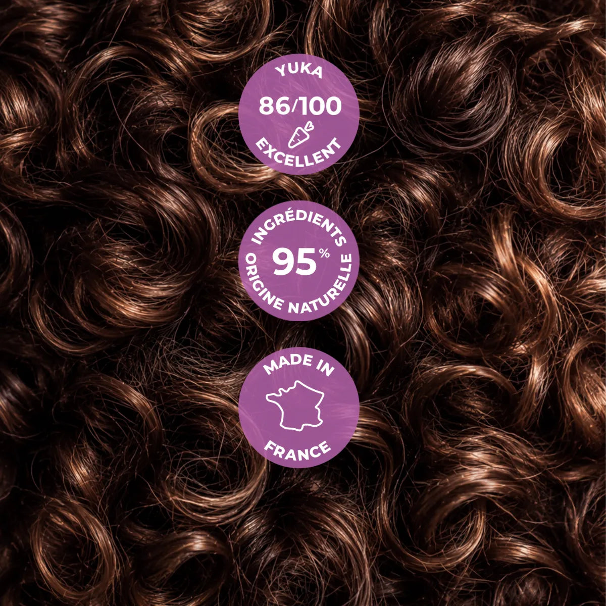 CURL NUTRITION ROUTINE